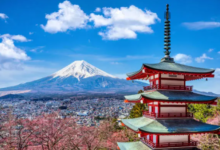 Exploring Japan During Cherry Blossom Season: A Signature Flamingo Travels ExperienceA Spring Journey into Japan’s Most Magical Season
