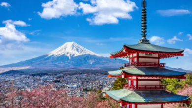 Exploring Japan During Cherry Blossom Season: A Signature Flamingo Travels ExperienceA Spring Journey into Japan’s Most Magical Season