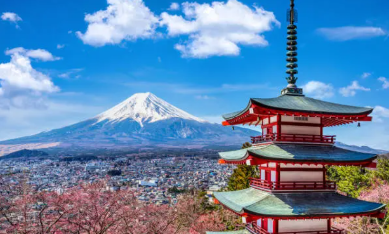 Exploring Japan During Cherry Blossom Season: A Signature Flamingo Travels ExperienceA Spring Journey into Japan’s Most Magical Season