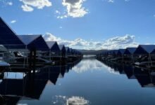 NAEGELI Deposition and Trial