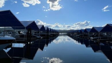 NAEGELI Deposition and Trial