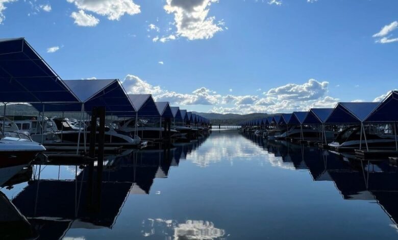 NAEGELI Deposition and Trial