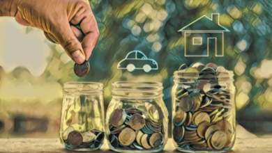 Savings Insurance Plans in India: A Detailed Guide to Long-Term Financial Planning, Guaranteed Benefits, and Asset Protection