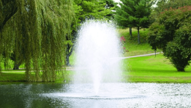 Why Large Water Bodies Need Engineered Movement, Not Natural Flow