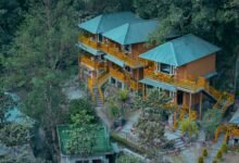 365 Days for Work, Why Not 3 Day Yoga Retreat in Rishikesh?