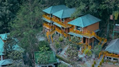 365 Days for Work, Why Not 3 Day Yoga Retreat in Rishikesh?