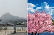 Japan vs South Korea: Which Destination Is Better for Indian Travellers?