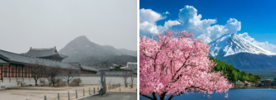 Japan vs South Korea: Which Destination Is Better for Indian Travellers?