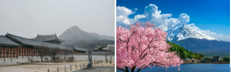 Japan vs South Korea: Which Destination Is Better for Indian Travellers?