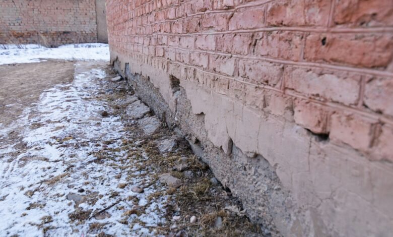 Everyone Says They're Certified. Here's How to Compare Water Damage Companies